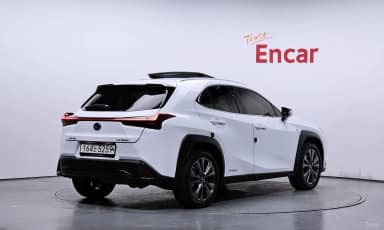 UX250h