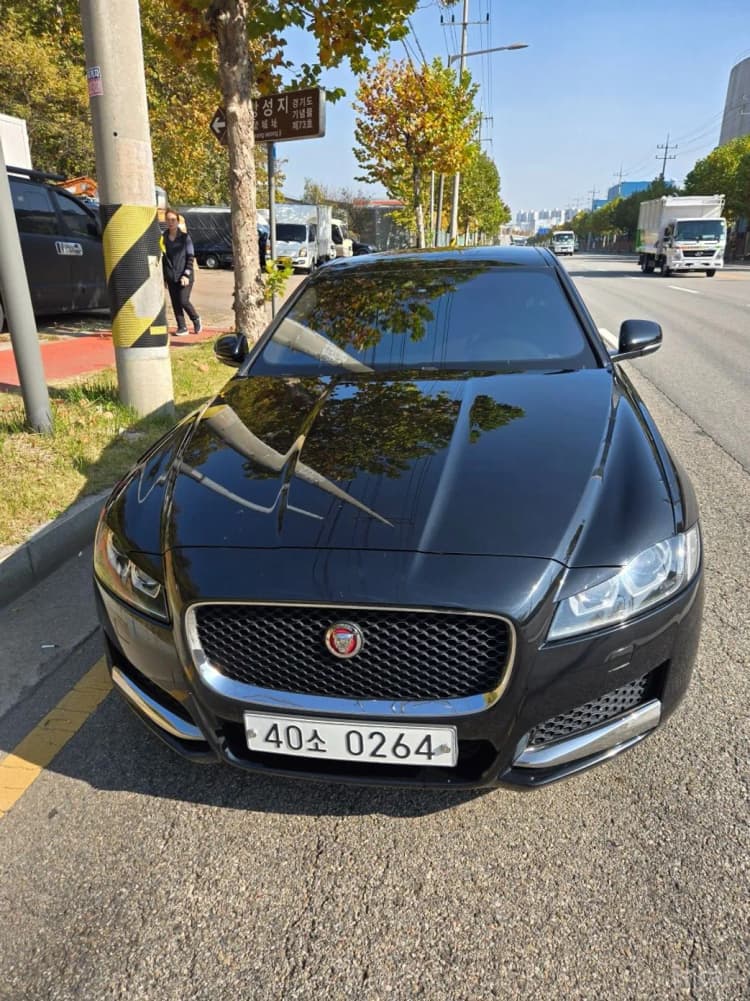XF (x260)