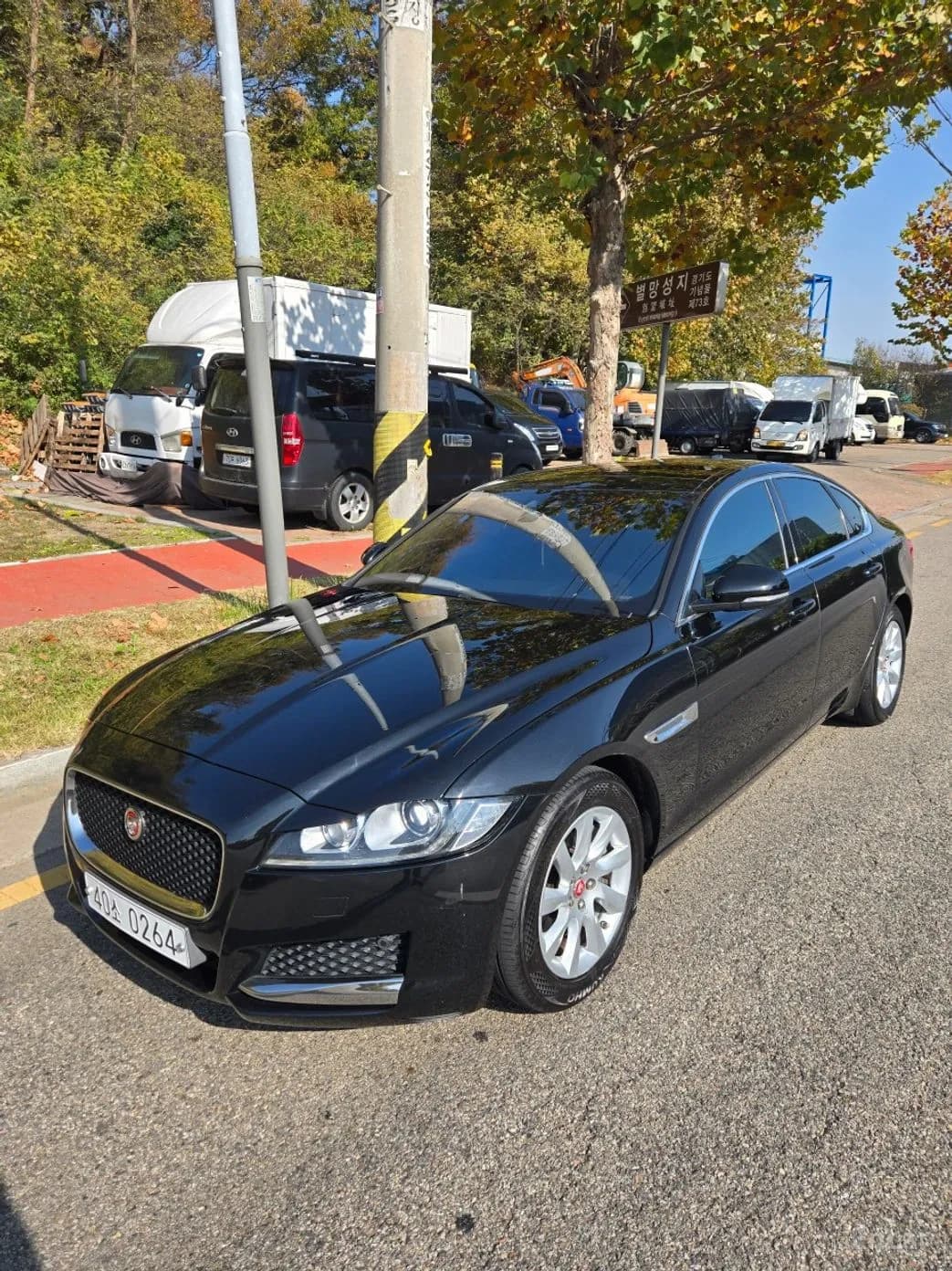 XF (x260)