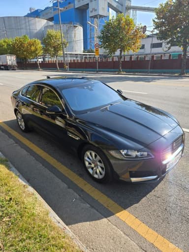 XF (x260)