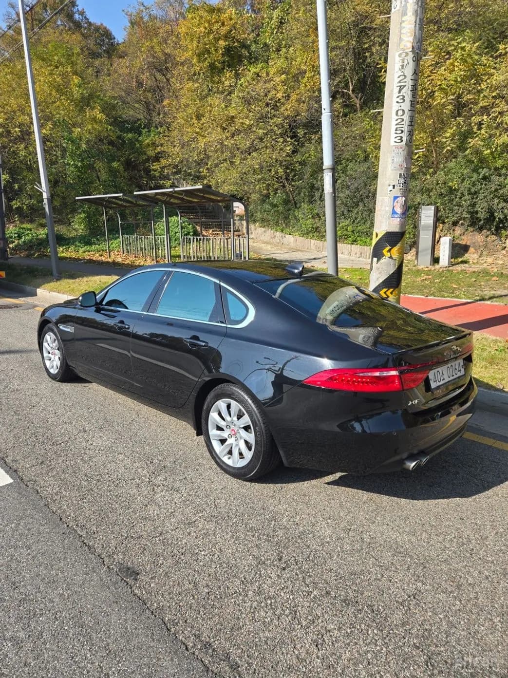 XF (x260)