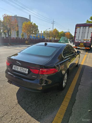 XF (x260)