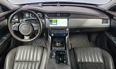 XF (x260)
