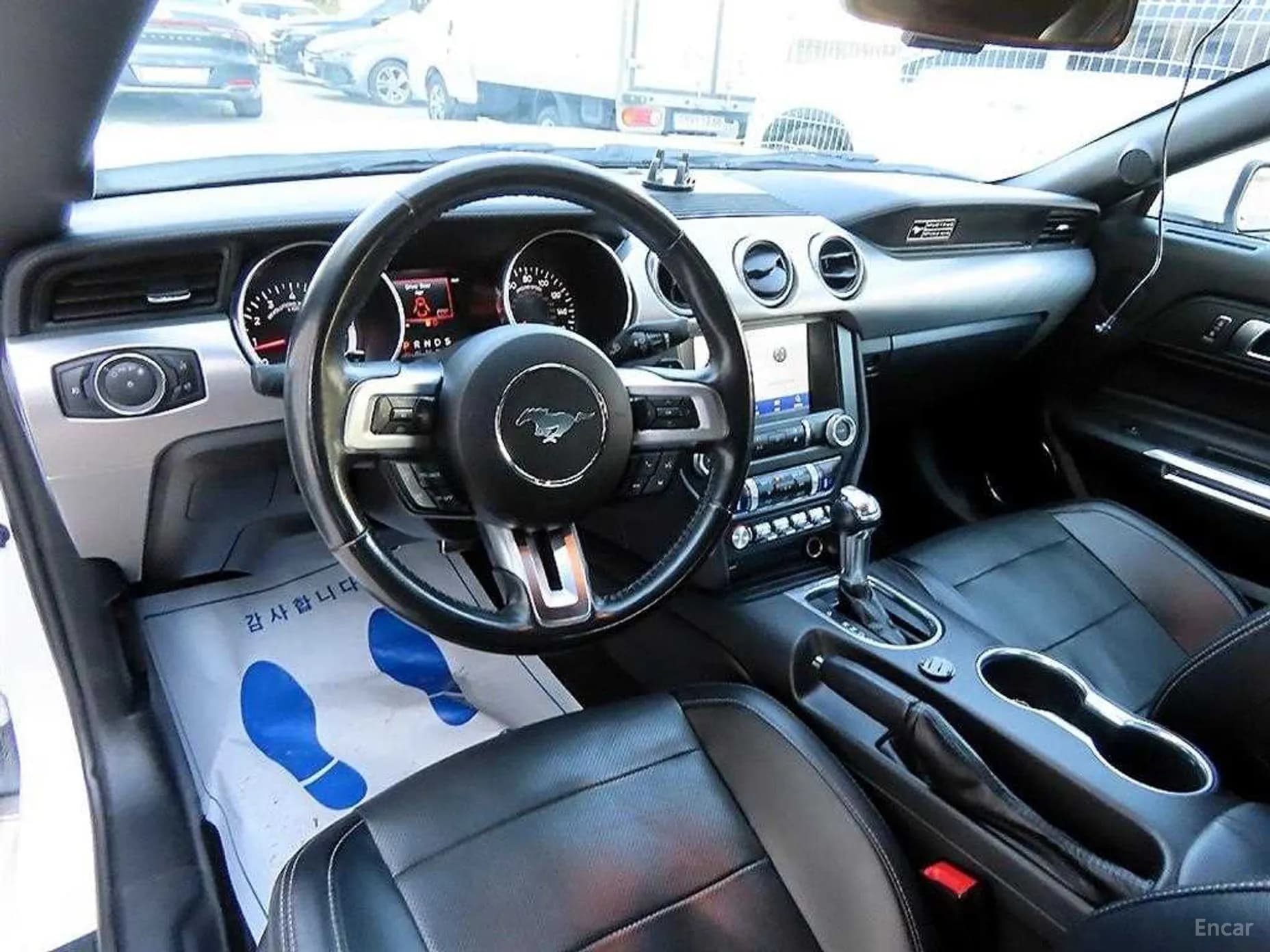 Mustang