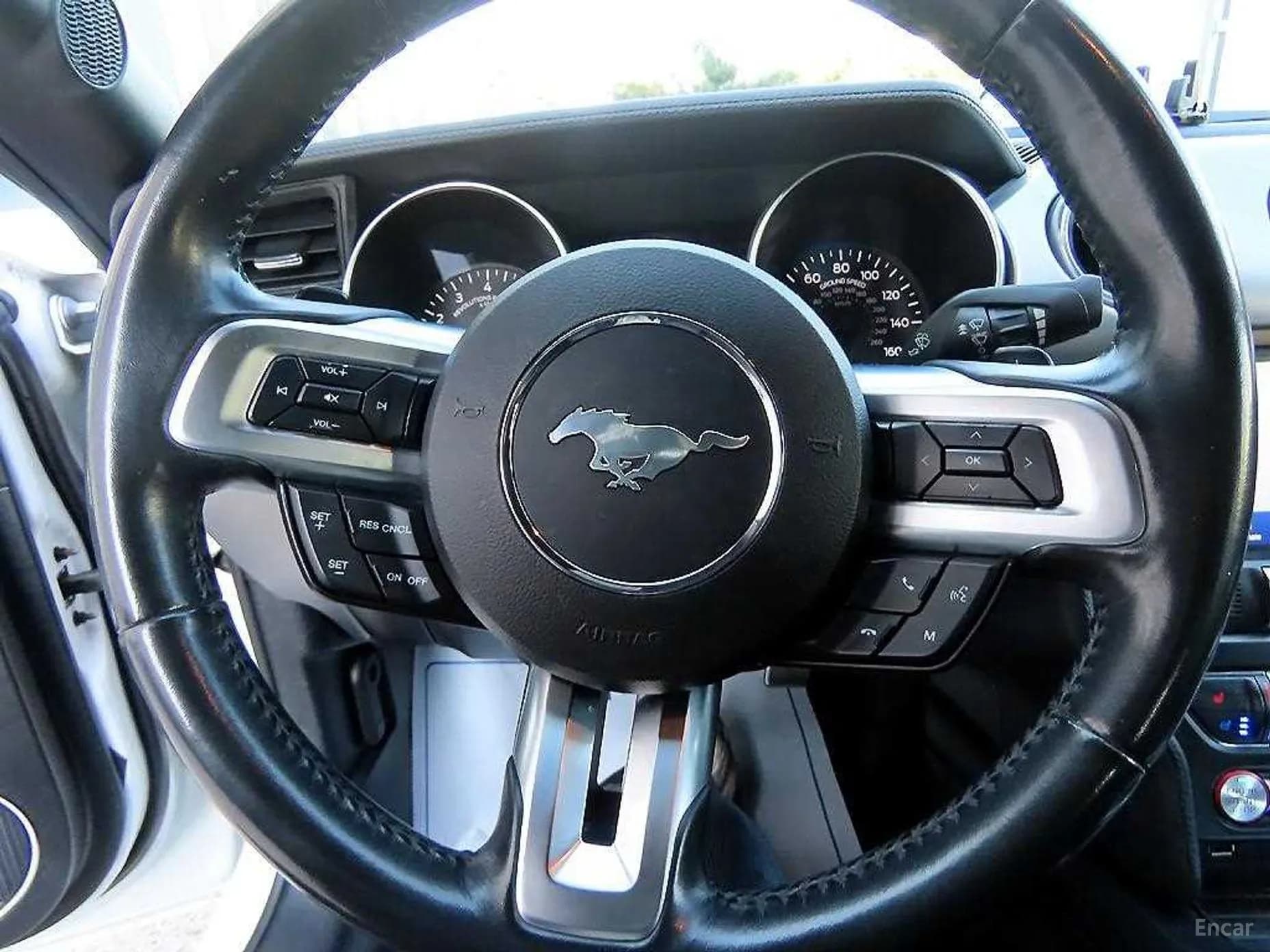 Mustang
