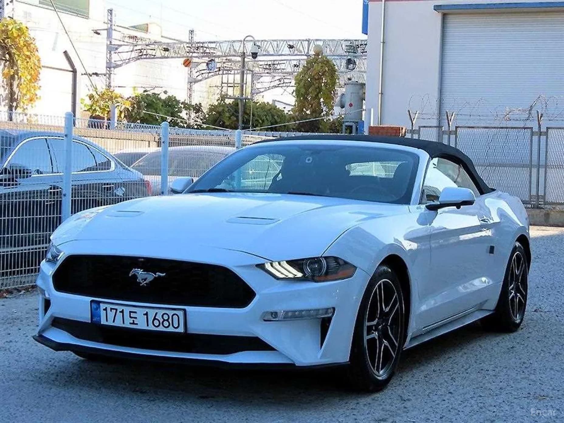 Mustang