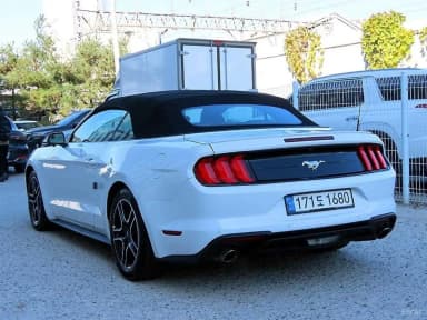 Mustang