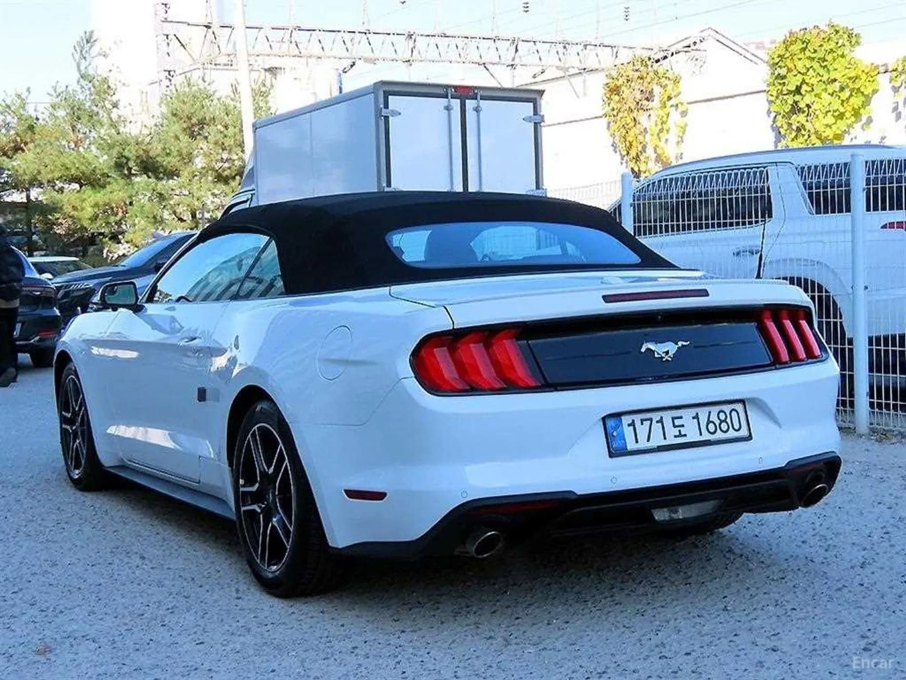 Mustang