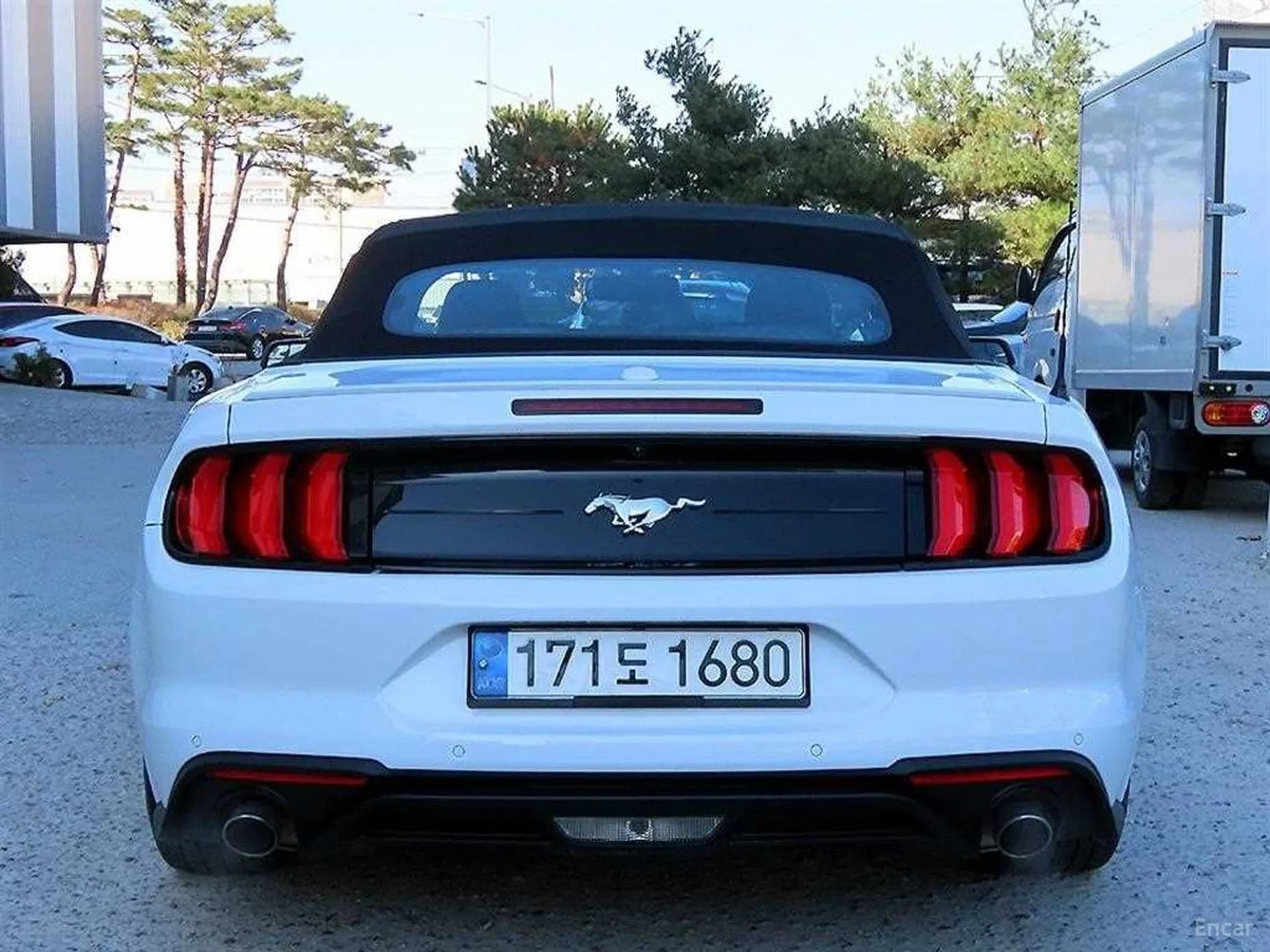 Mustang