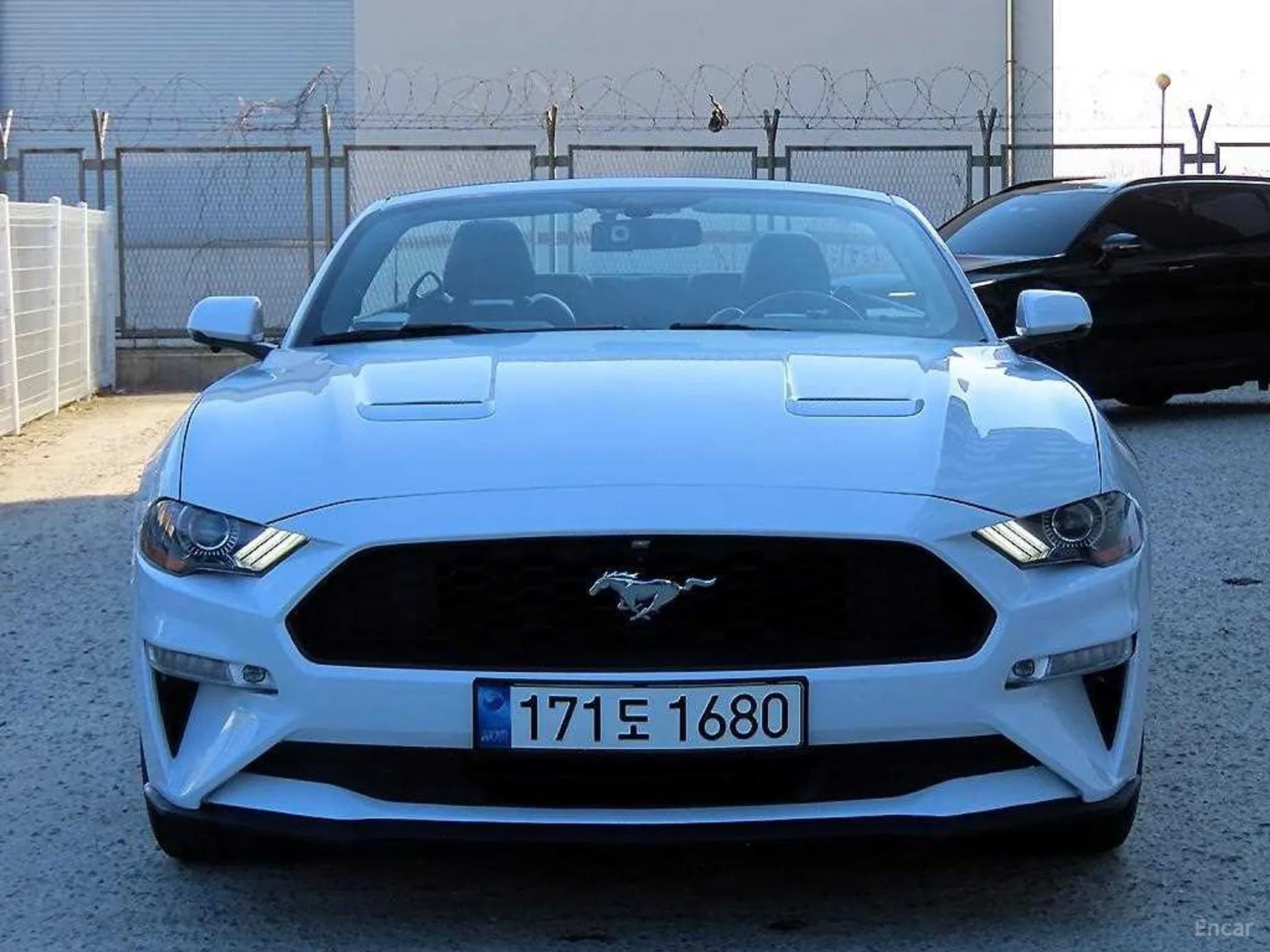 Mustang