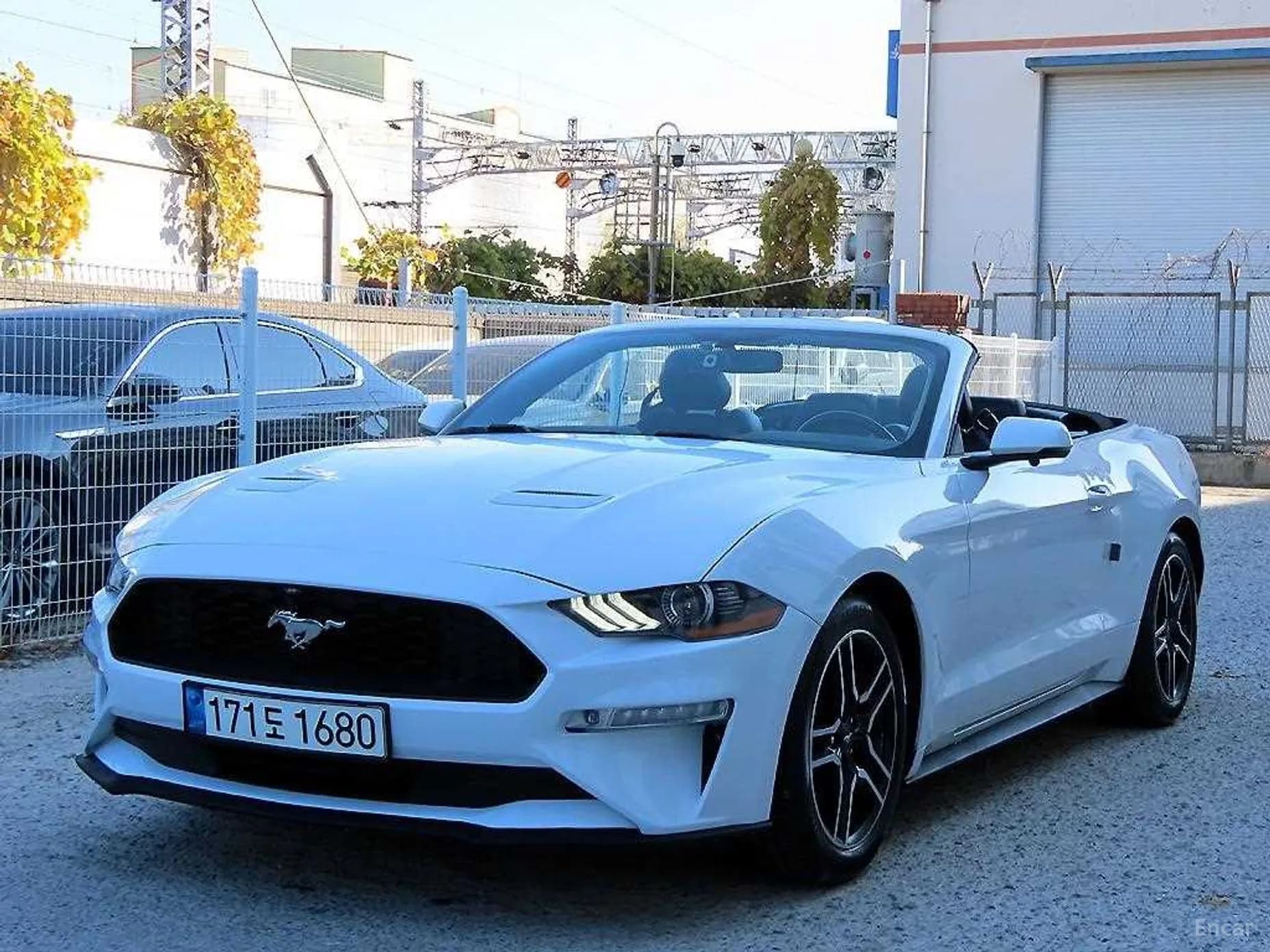 Mustang
