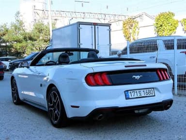 Mustang