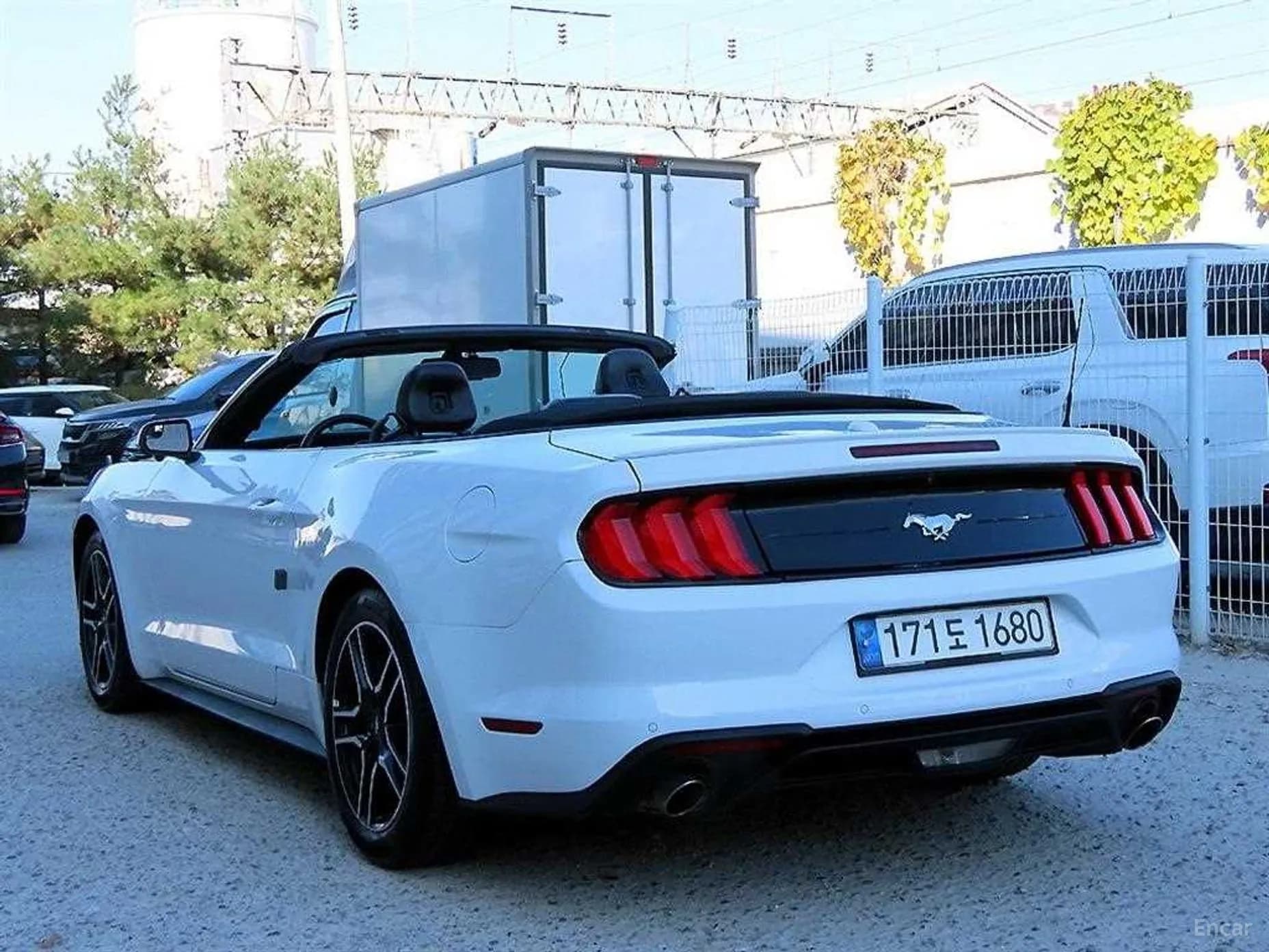 Mustang