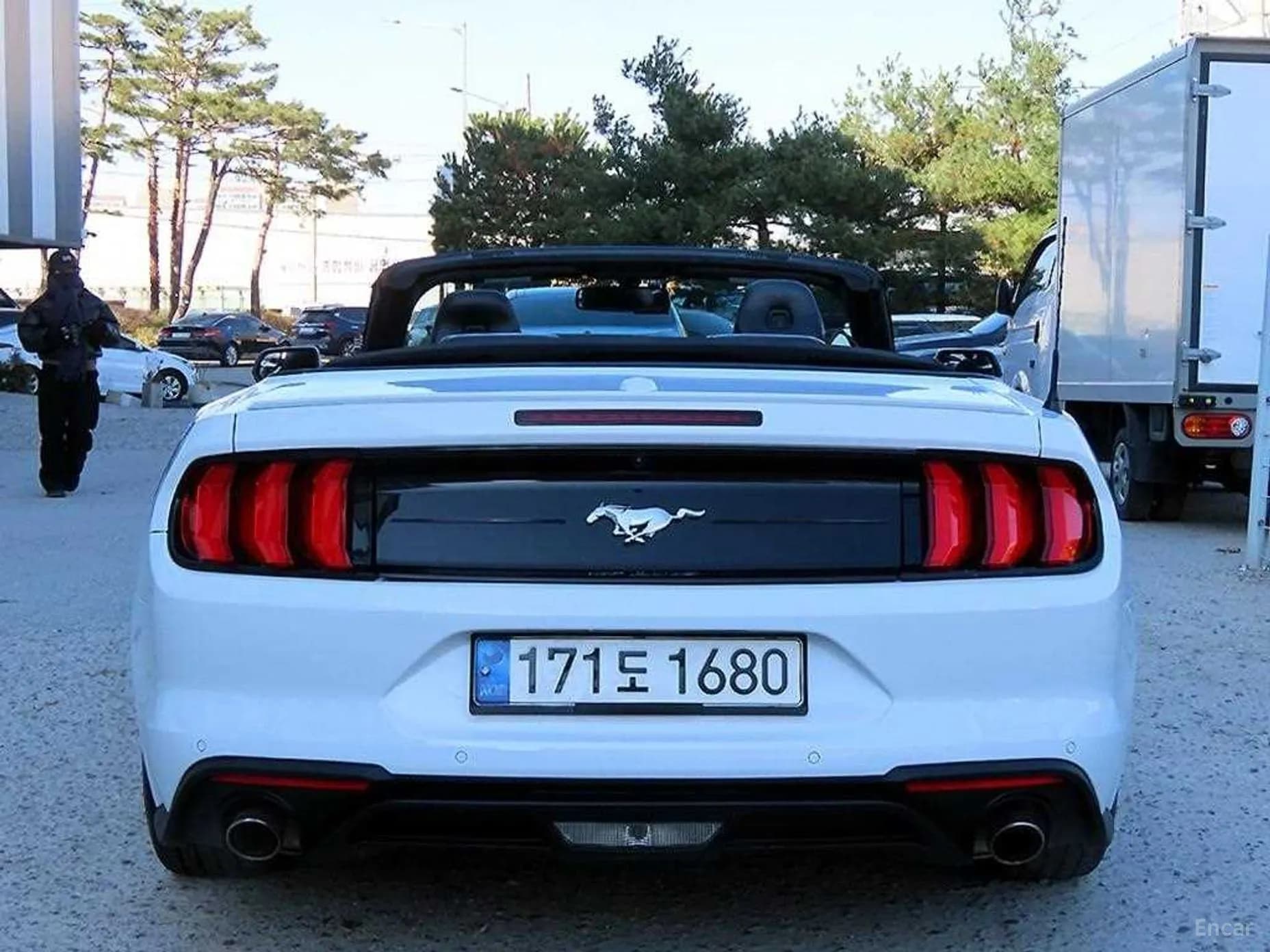 Mustang