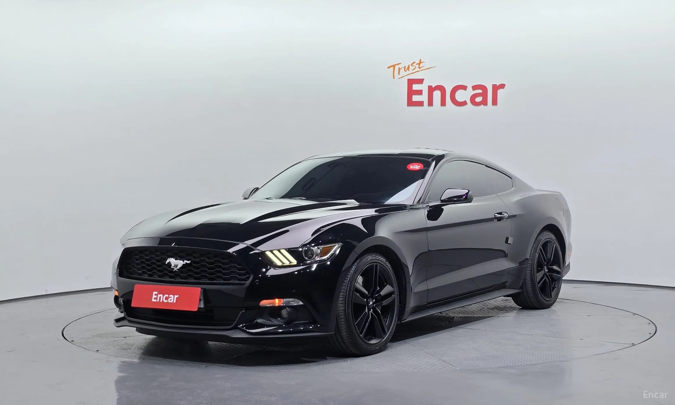 Mustang