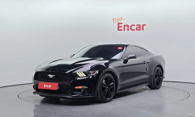 Mustang