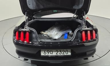 Mustang