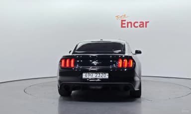 Mustang