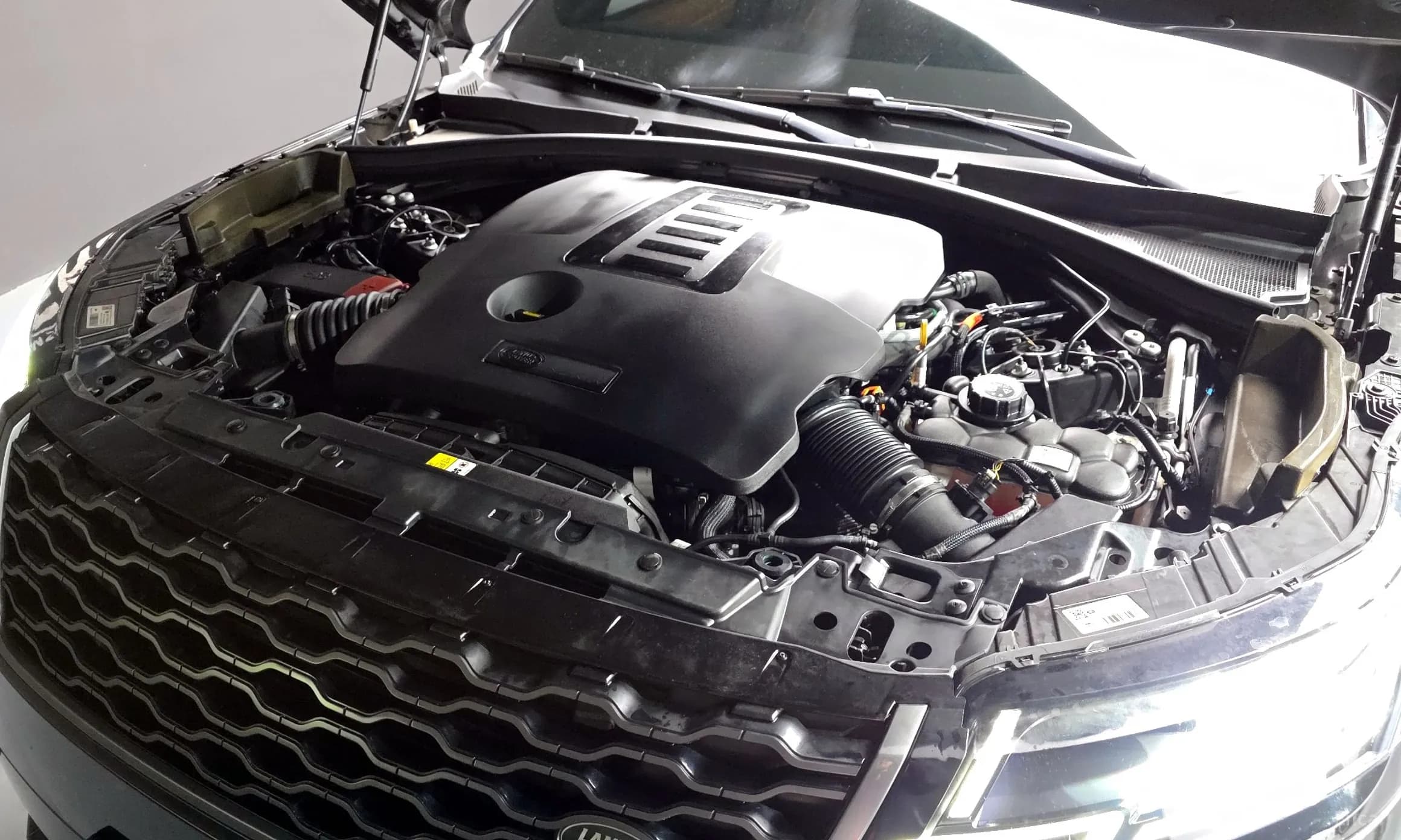 Range Rover Bella