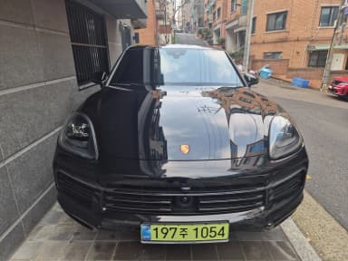Cayenne (PO536)
