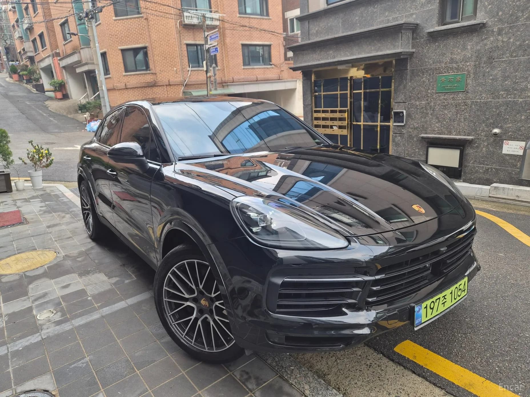 Cayenne (PO536)