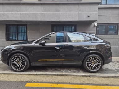 Cayenne (PO536)