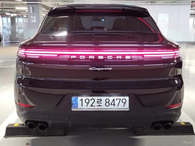 Cayenne (PO536)