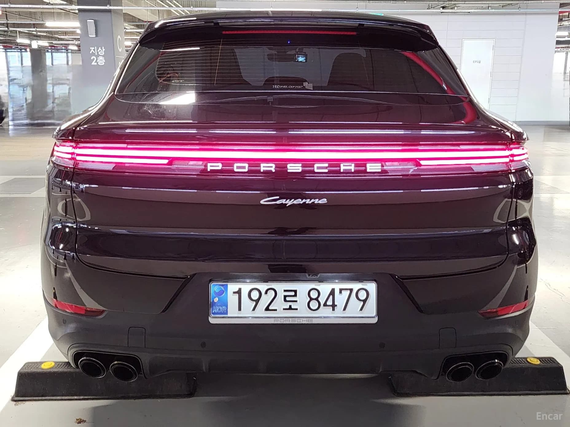 Cayenne (PO536)