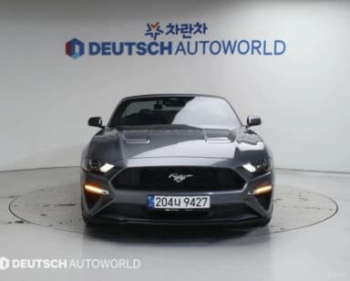 Mustang