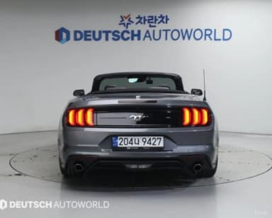 Mustang