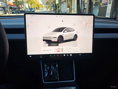Model Y
