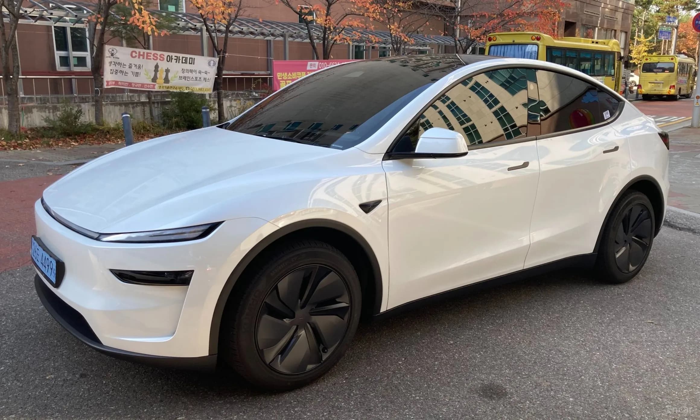 Model Y