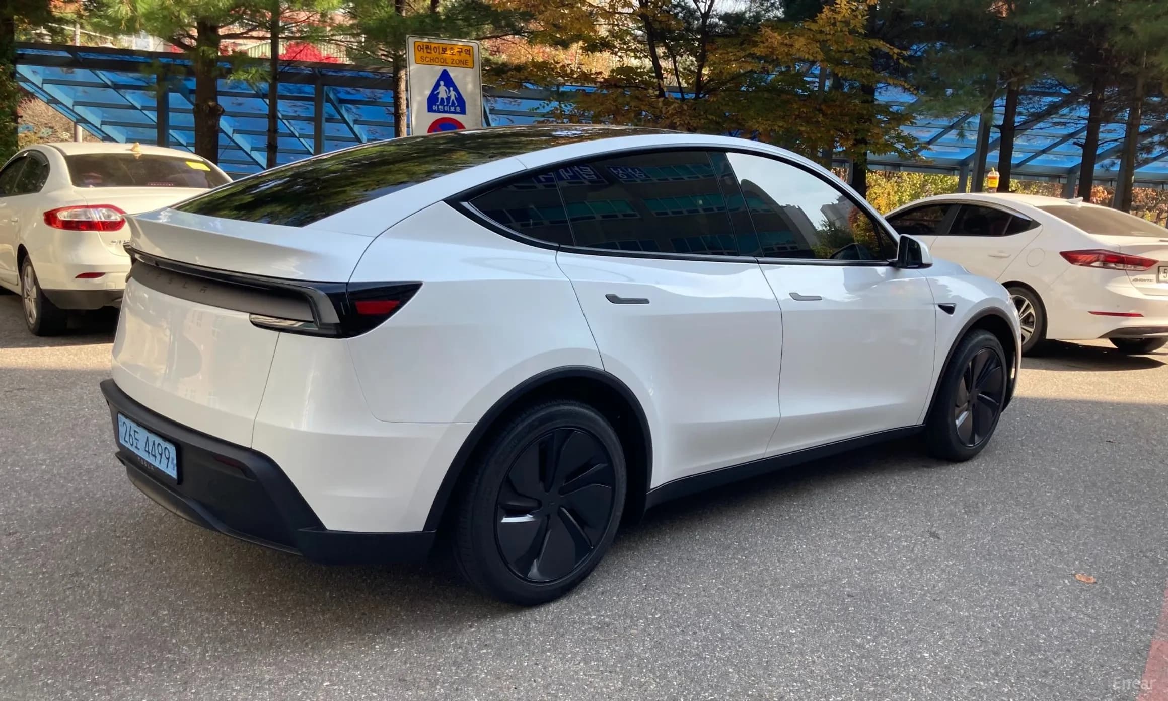Model Y