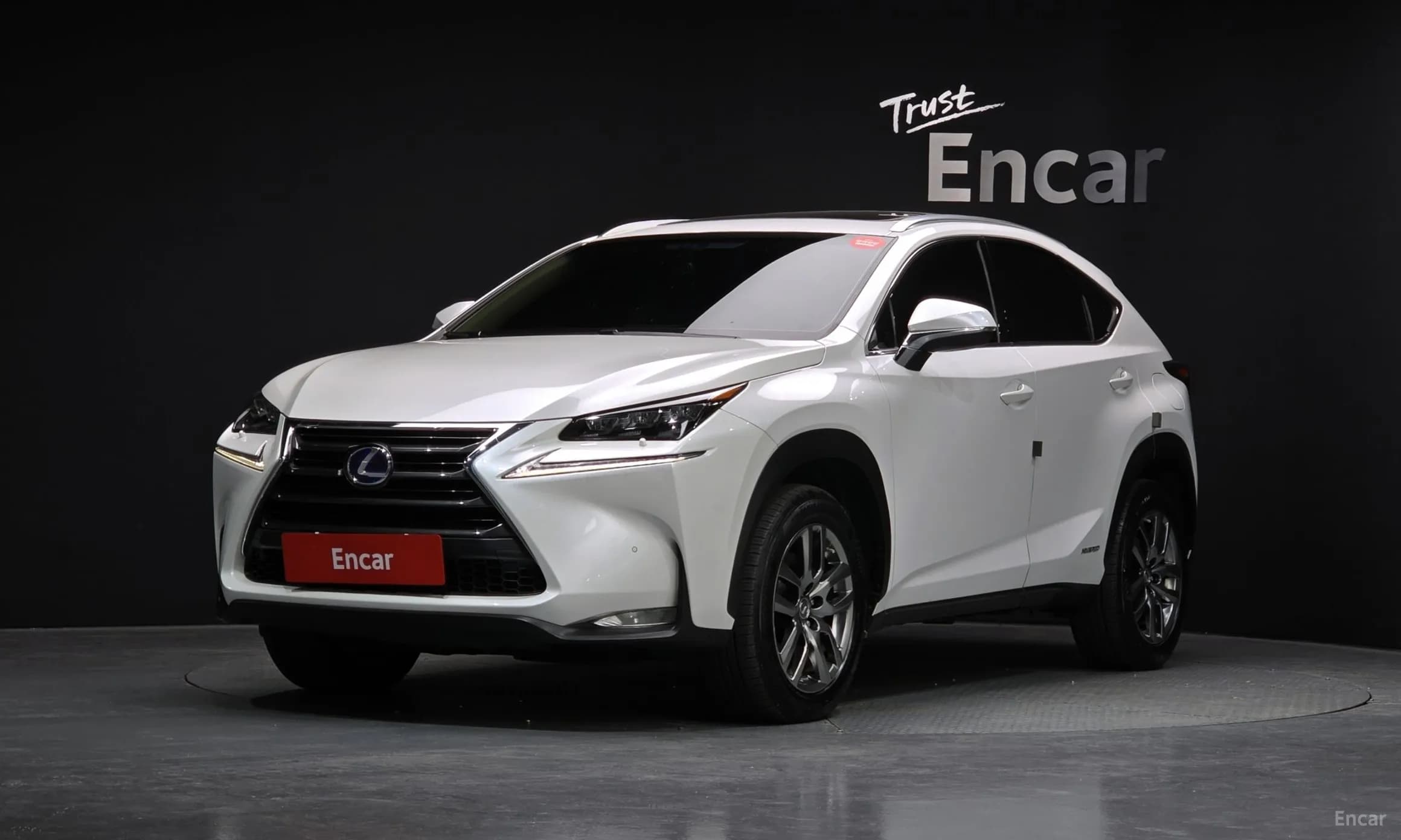 NX300h