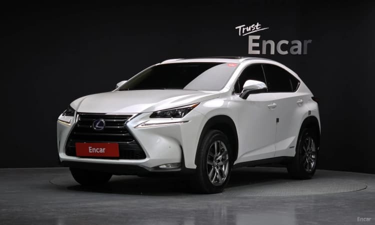 NX300h