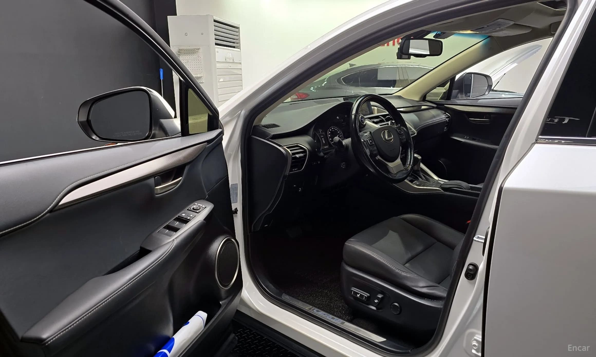 NX300h