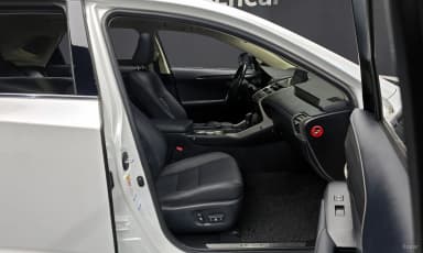 NX300h