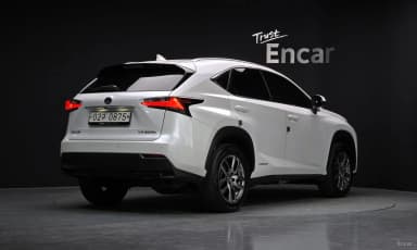 NX300h