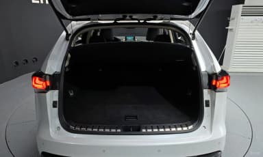 NX300h