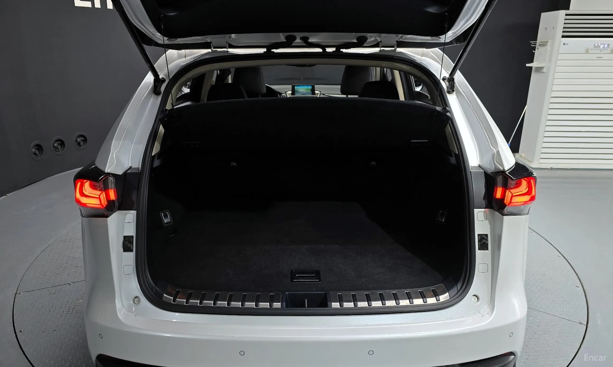 NX300h