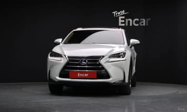 NX300h