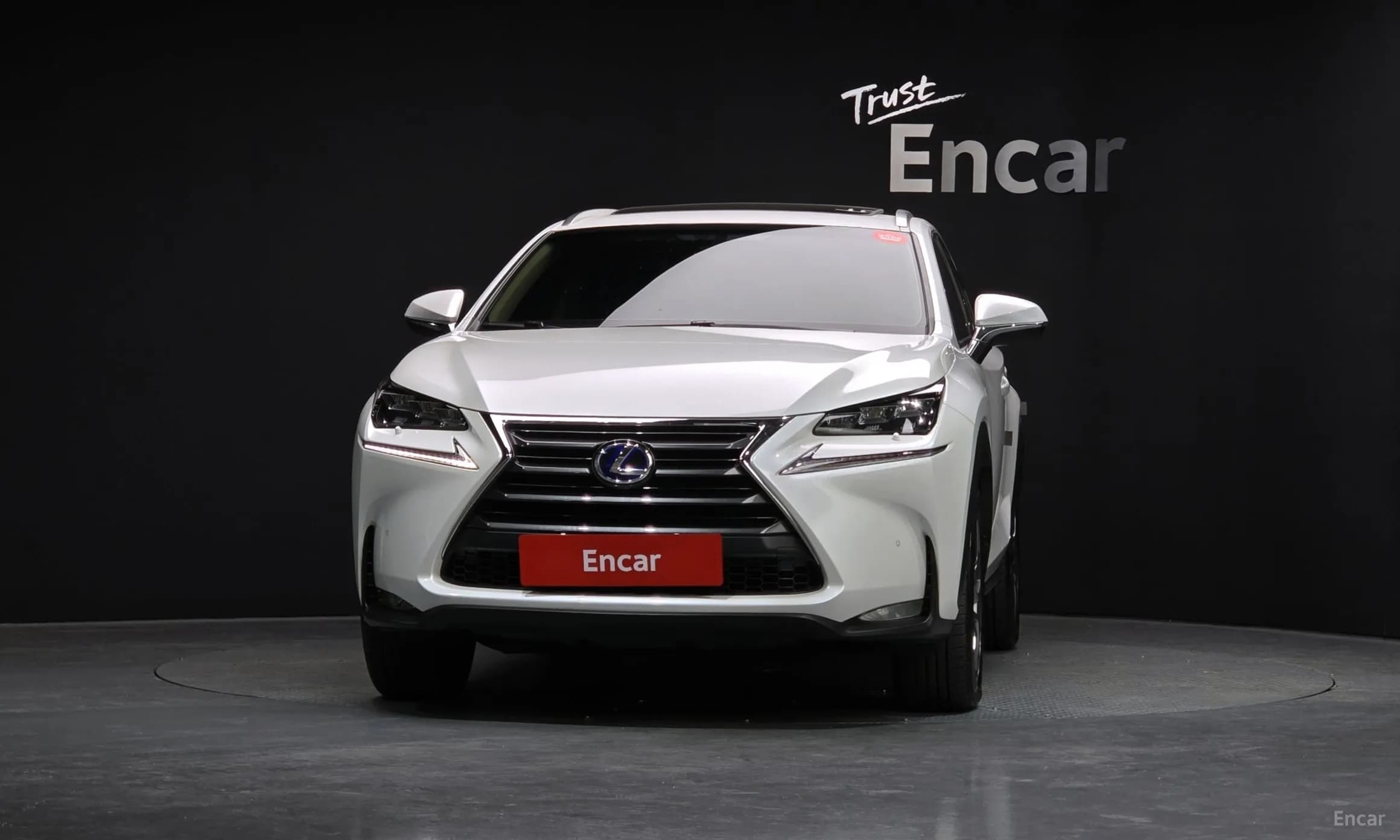 NX300h