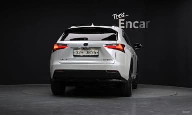 NX300h