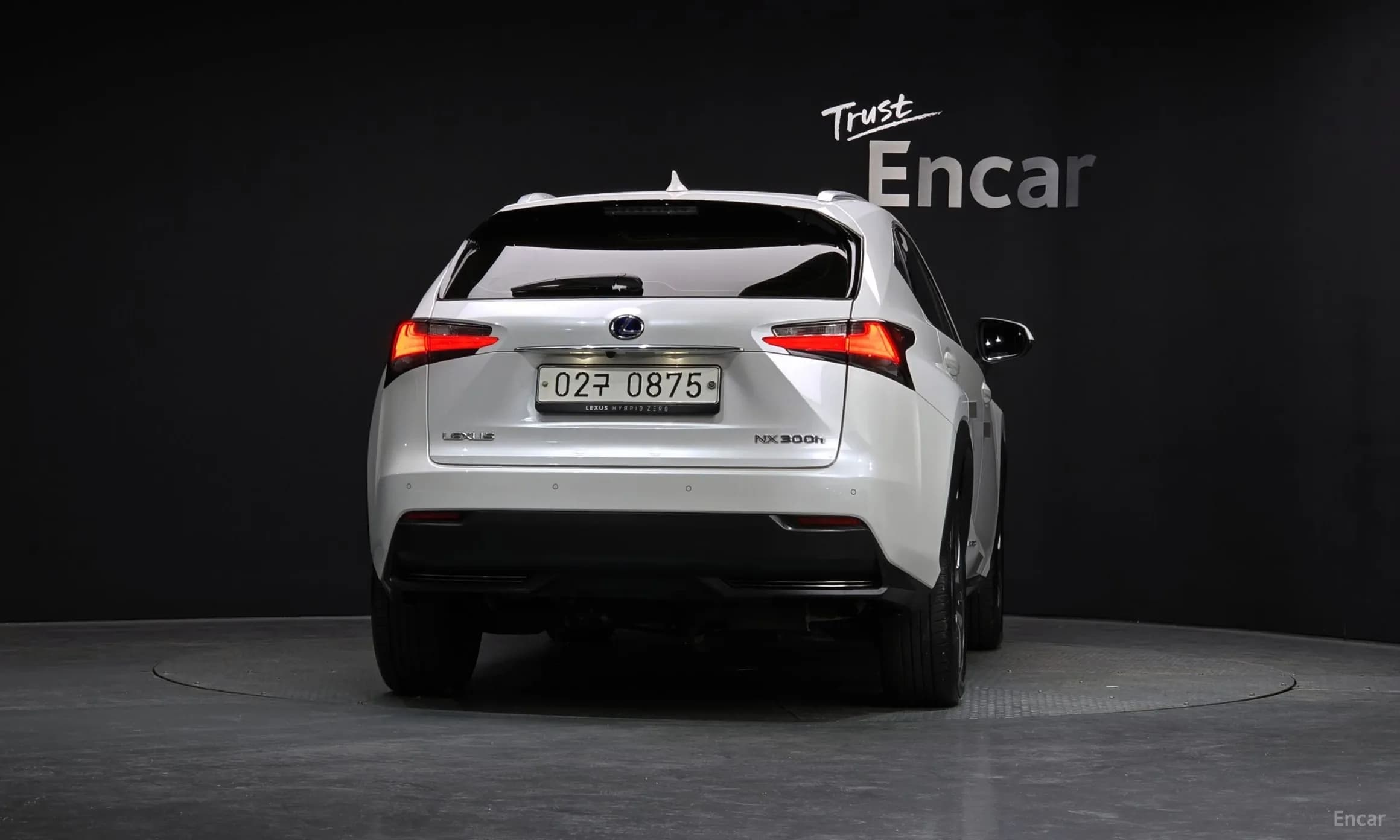 NX300h