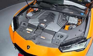 Urus