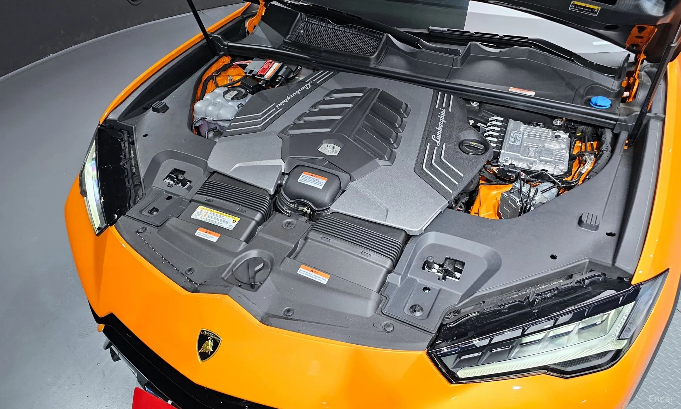 Urus