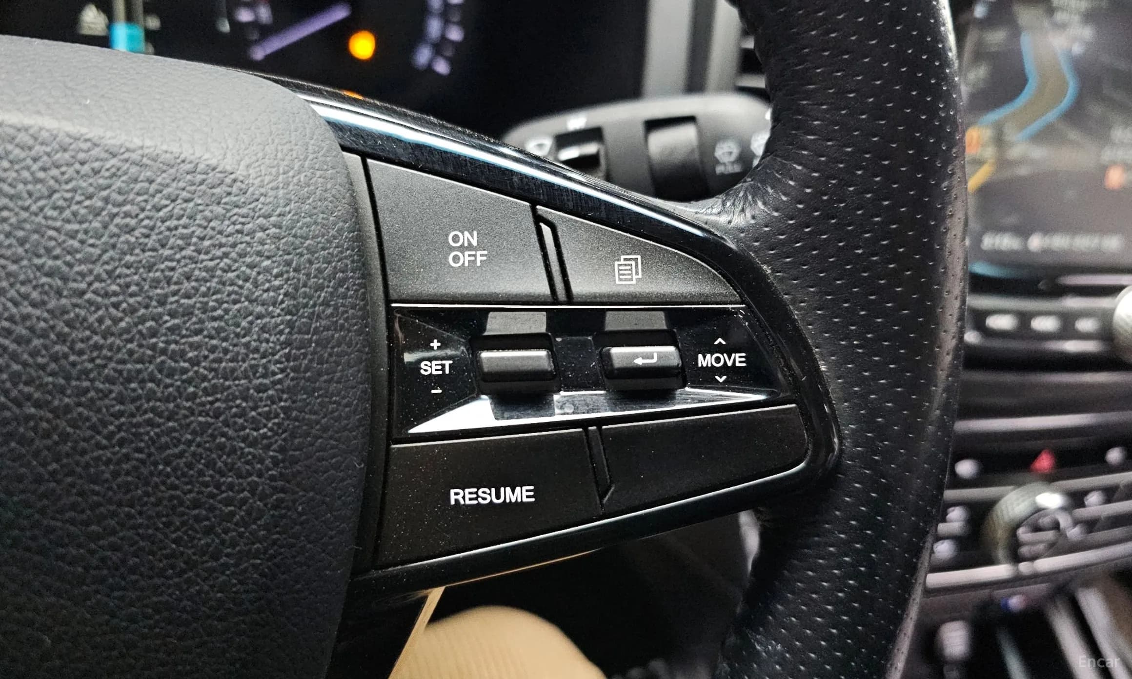 Rexton Sports Khan