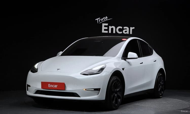 Model Y