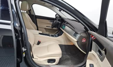 XF (x260)