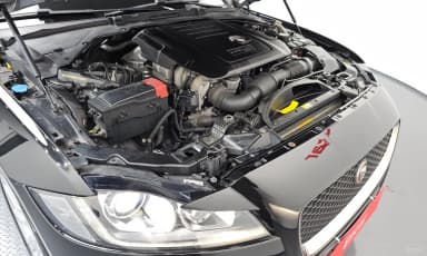 XF (x260)